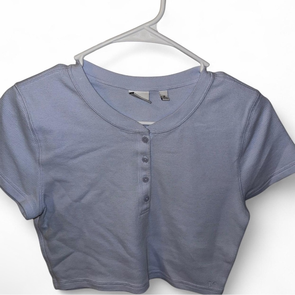 Aritzia Blue Crop Top